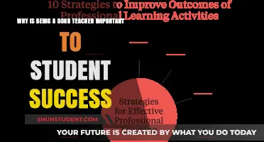 Effective Teaching: The Key to Unlocking Student Success and Potential