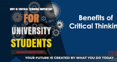 Critical Thinking: University Students' Key to Success