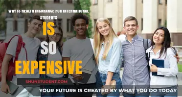 International Student Health Insurance: Why So Expensive?