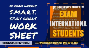 FE Exam: A Gateway to Success for International Students