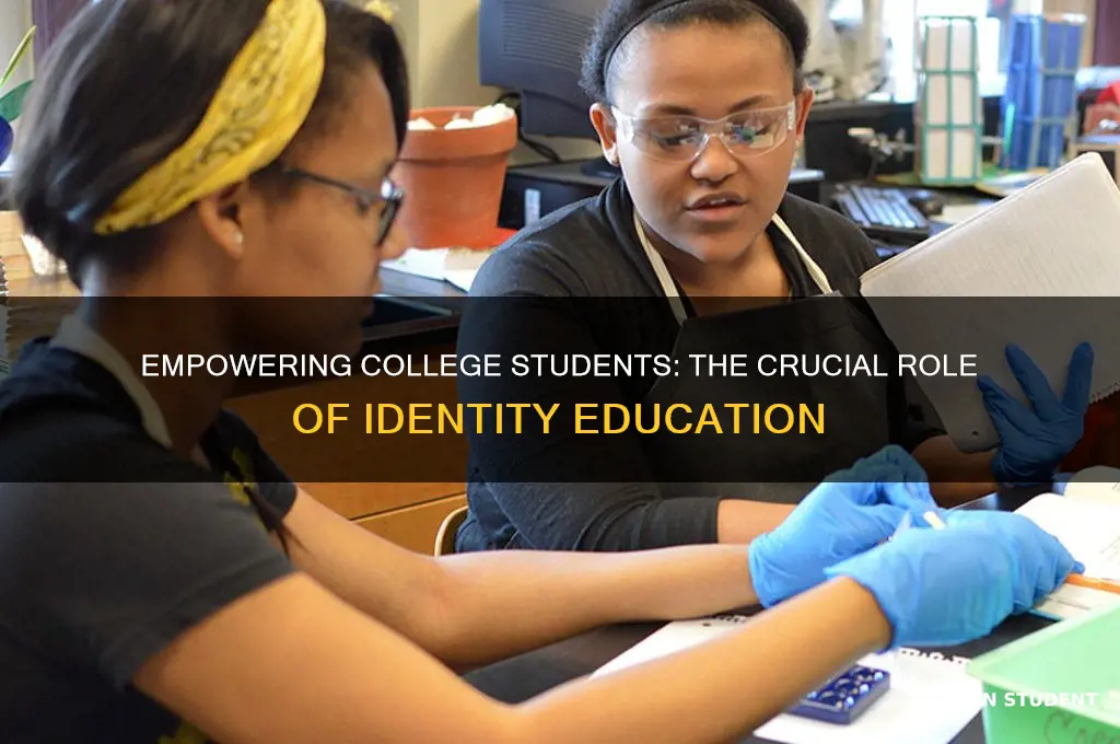 why is important to teach college students about identitty
