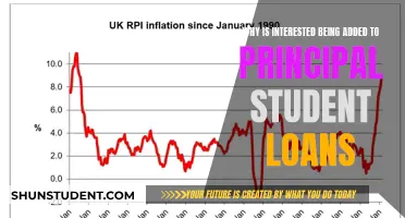Decoding the Impact: Interest on Principal Student Loans Explained