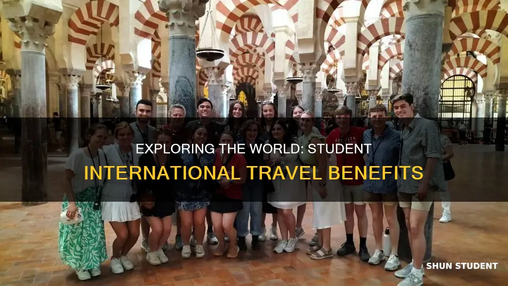 why is internation travel important to our students