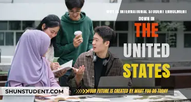 American Education Losing Its International Appeal?