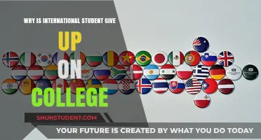 International Students: College Dreams Shattered