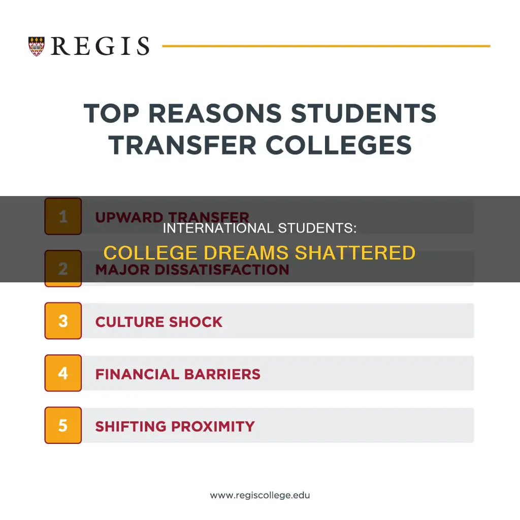 why is international student give up on college