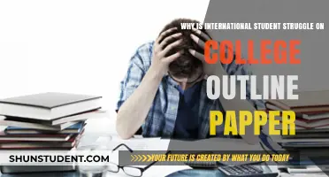 International Students' Outline Paper Challenges