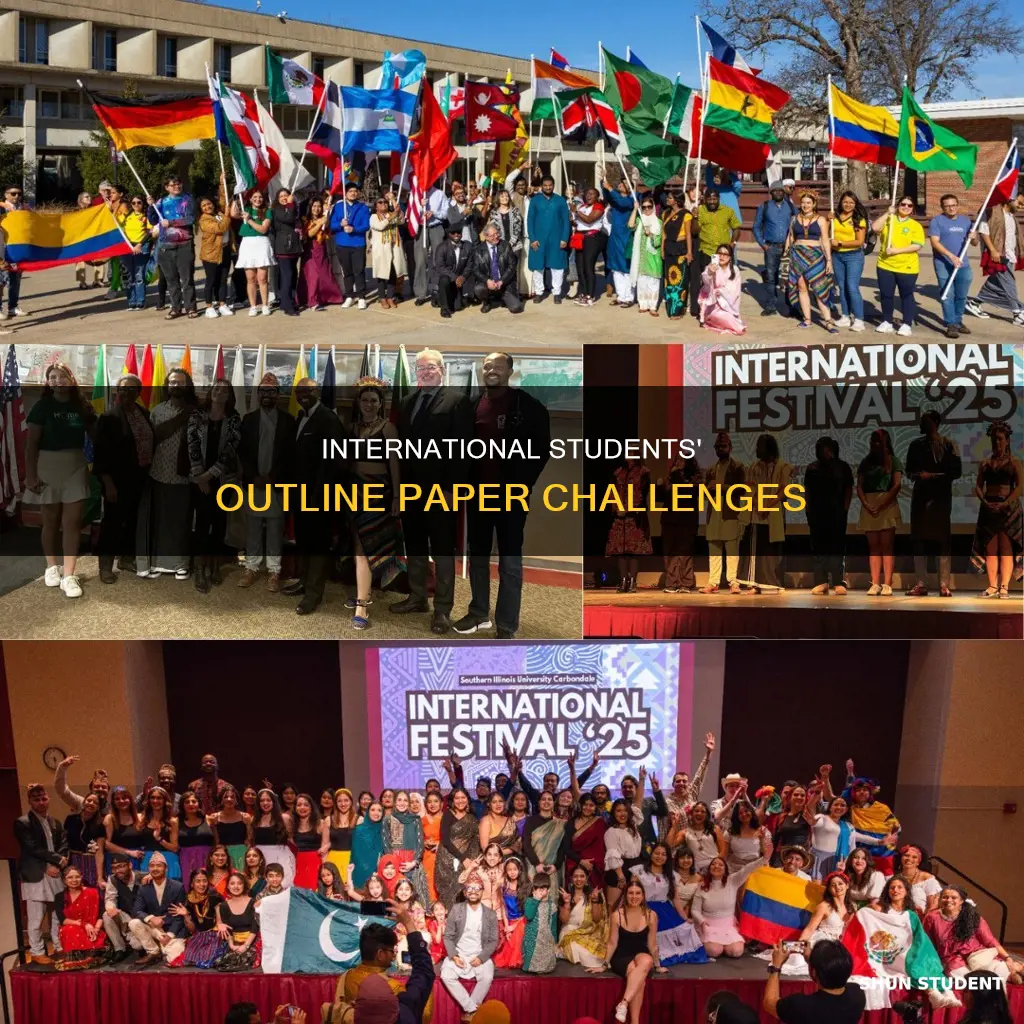 why is international student struggle on college outline papper