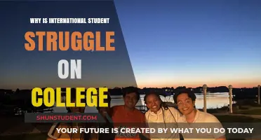 International Students' College Struggles: An Academic Culture Shock