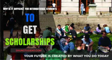 Struggles of International Students: Scholarship Hurdles