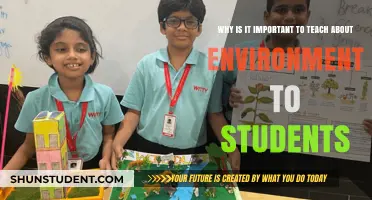 Empowering Future Stewards: Why Environmental Education Matters for Students