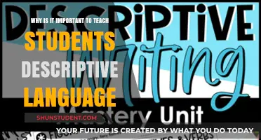 Unlocking Creativity: Why Teaching Descriptive Language Matters in Education