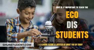 Empowering Eco-Dis Students: Why Inclusive Education Matters for All