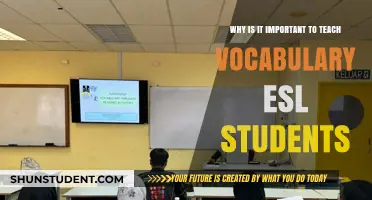 Empowering ESL Learners: The Crucial Role of Vocabulary Instruction