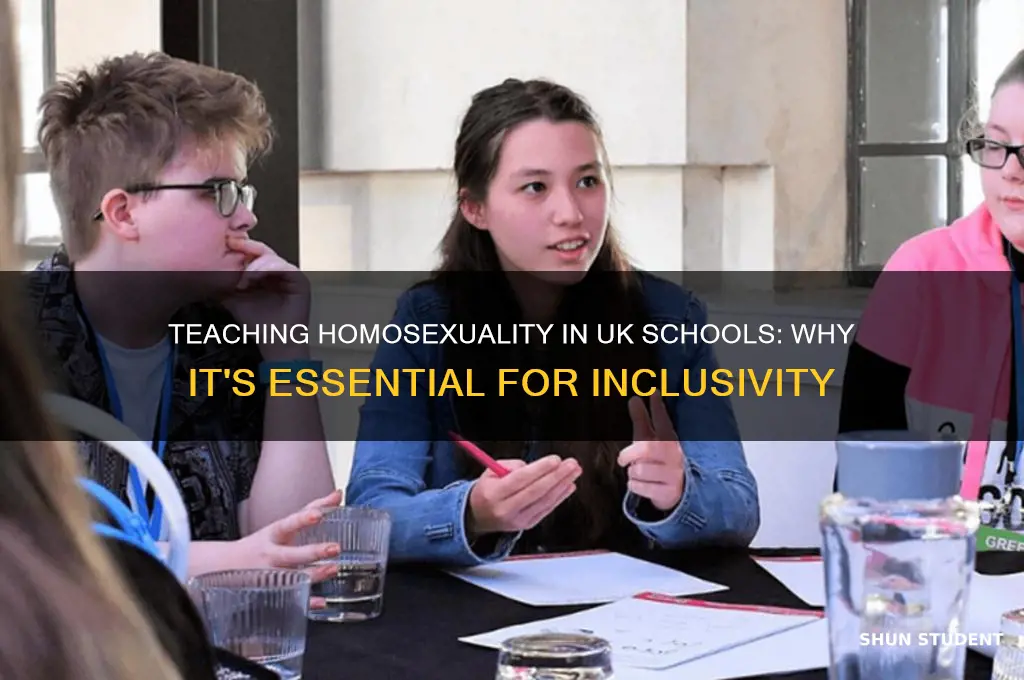 why is it okay to teach uk students about homosexuality