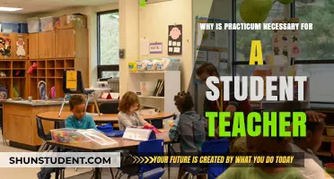 Practicum: Bridging Theory and Practice for Aspiring Educators' Success