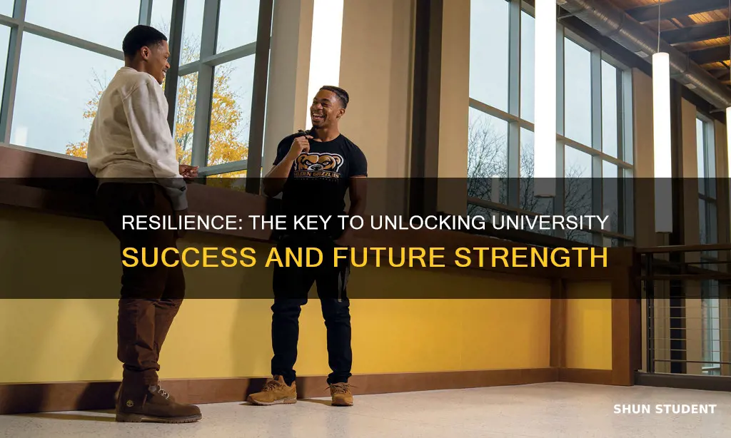 why is resilience important for university students