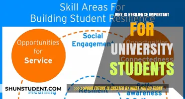 Building Resilience: A University Student's Superpower