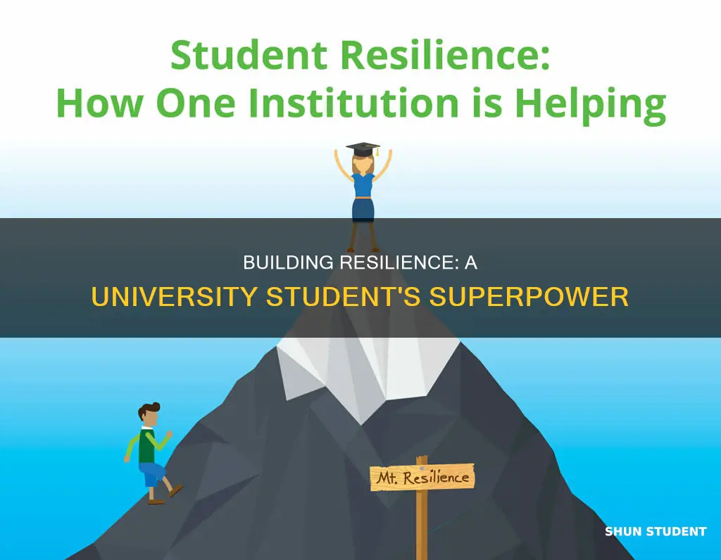 why is resilience important for university students