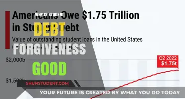 Student Debt Forgiveness: A Path to Economic Growth and Equity