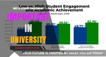 Student Engagement: Key to University Success