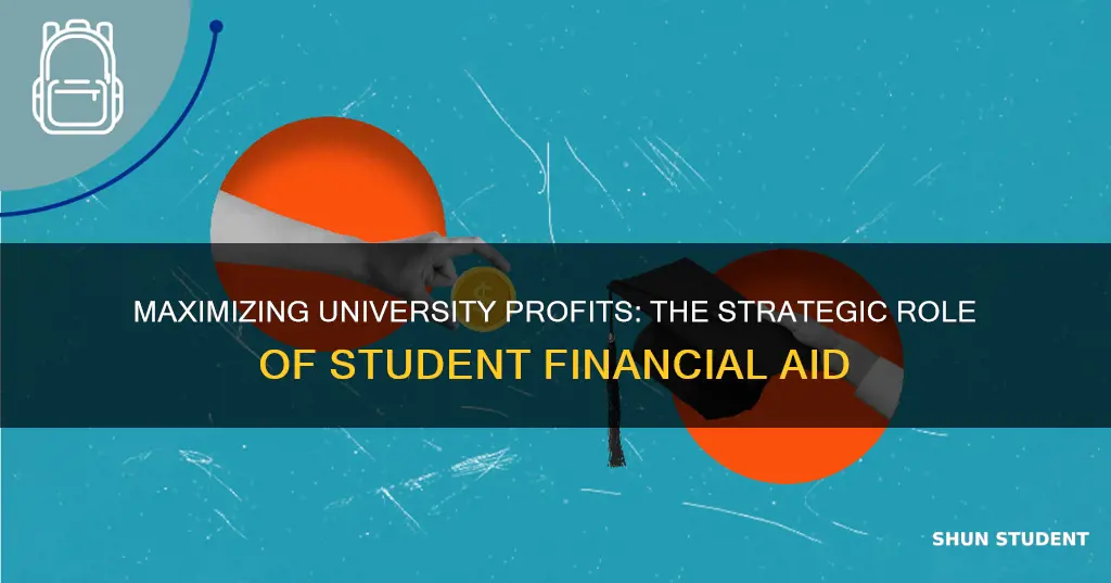 why is student financial aid a profit-maximizing decision for universities