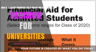 Financial Aid: Universities' Profit-Maximizing Student Decisions