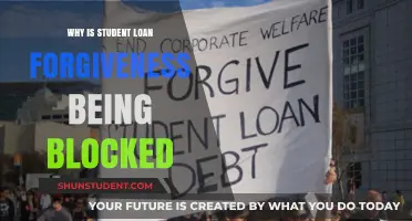 Why Student Loan Forgiveness Faces Political and Legal Blockades