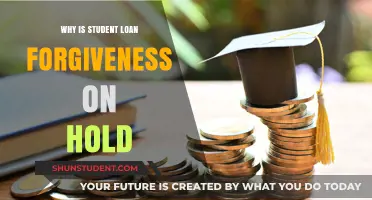 Student Loan Forgiveness Halted: Understanding the Current Hold and Delays