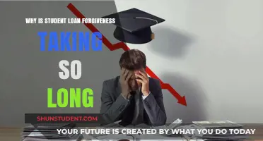 Why Student Loan Forgiveness Delays Persist: Unraveling the Slow Process
