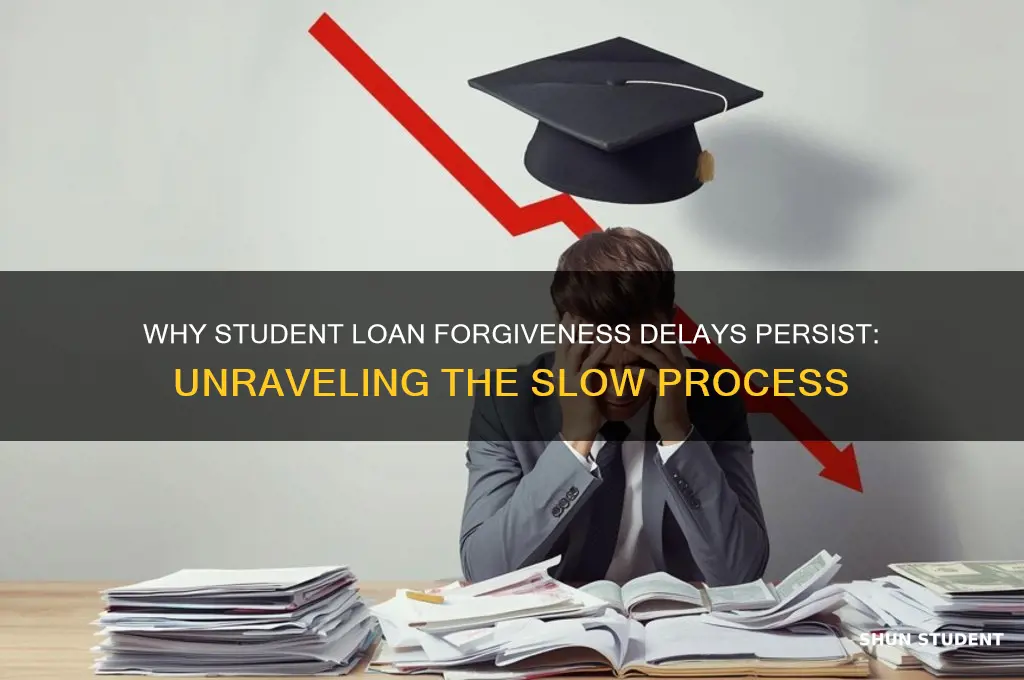 why is student loan forgiveness taking so long