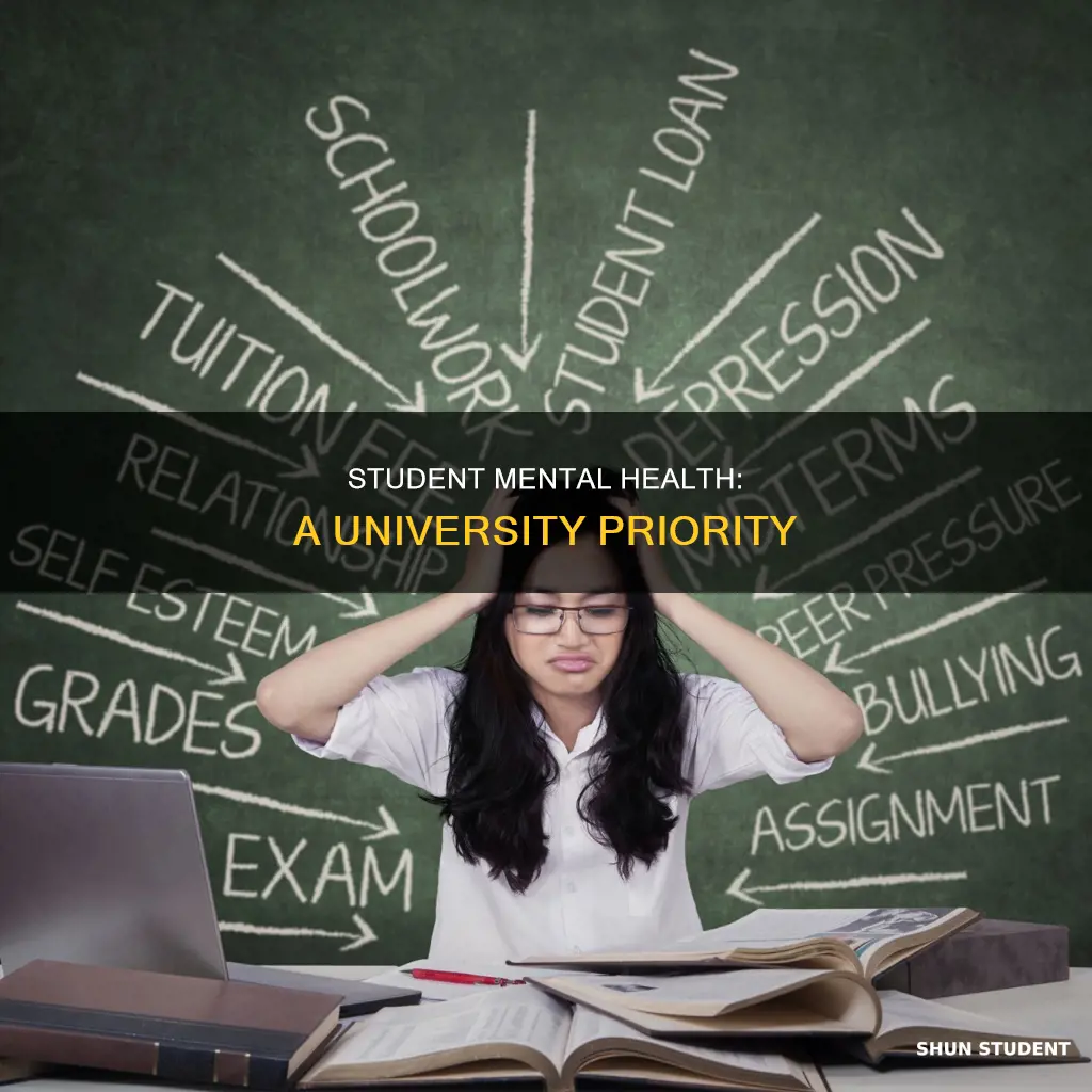 why is student mental health important to universities