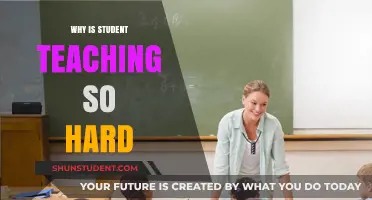 The Challenges of Student Teaching: Why It’s Harder Than Expected