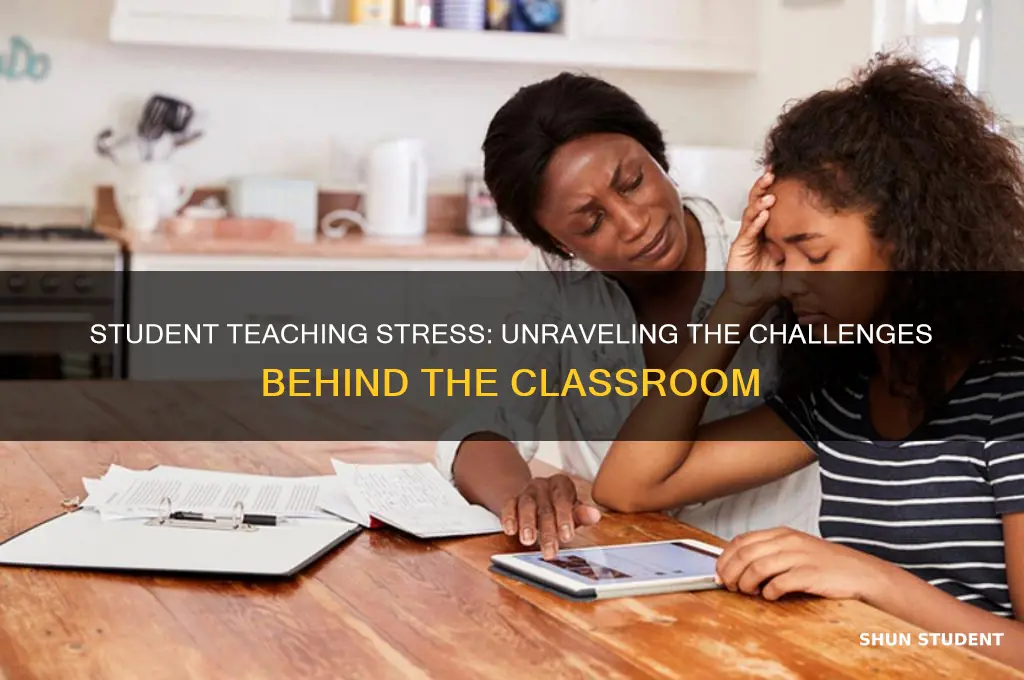 why is student teaching so stressful