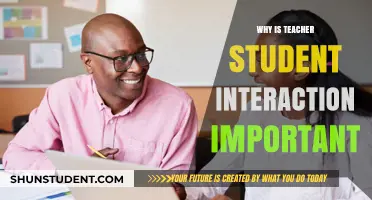 Fostering Growth: The Power of Teacher-Student Interaction in Education