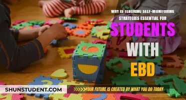 Empowering EBD Students: The Critical Role of Self-Monitoring Strategies