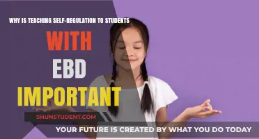 Empowering EBD Students: The Critical Role of Teaching Self-Regulation