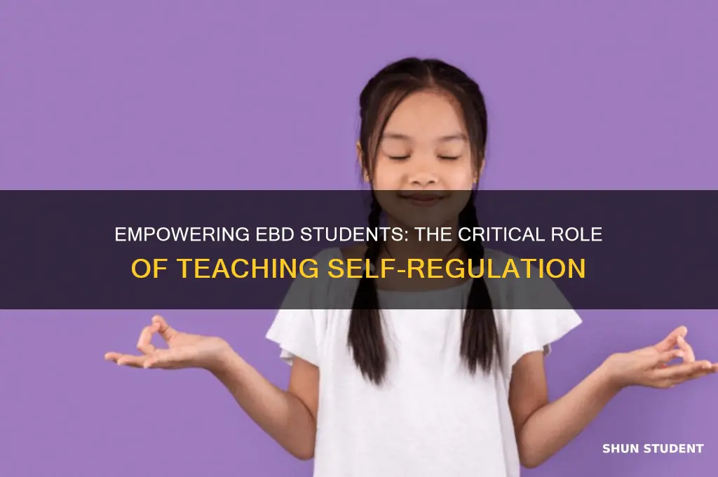 why is teaching self-regulation to students with ebd important