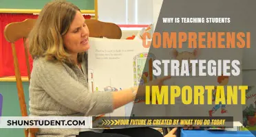 Empowering Learners: The Vital Role of Comprehension Strategies in Education