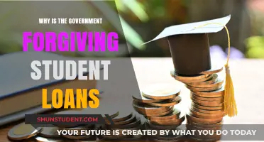 Government's Student Loan Forgiveness: Reasons, Impact, and Future Implications