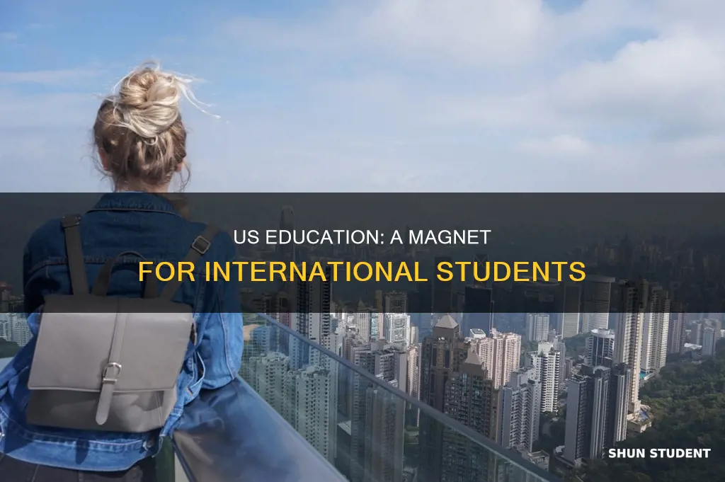 why is the us a destination for international students