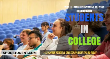 Bridging the Gap: International Students' College Experience