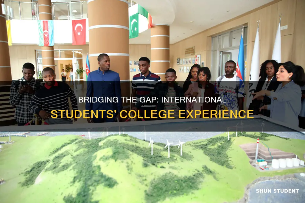 why is there a disconnect between international students in college