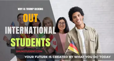 Trump's Anti-International Student Policy: Understanding the Motives