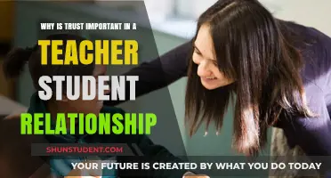 Building Trust: The Foundation of Effective Teacher-Student Relationships