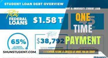 Understanding the One-Time Payment Structure of University Student Loans