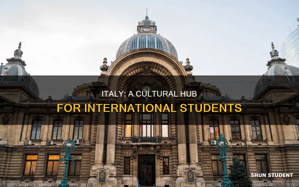 why italy for international students