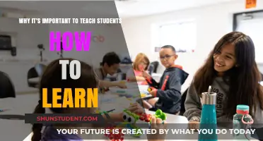Empowering Learners: Why Teaching 'How to Learn' is Essential