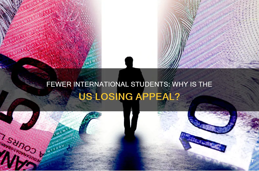 why less international students us