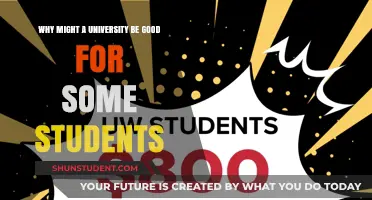 University Life: A Launchpad for Student Success